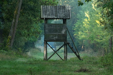 Hunting tower in the forest	