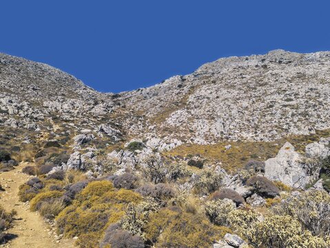 Stony ridge with scattered bushes on the way to the summit of Kali Limni under a bright blue sky, hike to the summit of Kali Limni, Kali Limni, Lastos, Karpathos, Greece