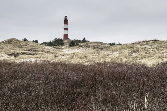Dune landscape with lighthouse, S&uuml;ddorf, Amrum, Schleswig-Holstein, Germany