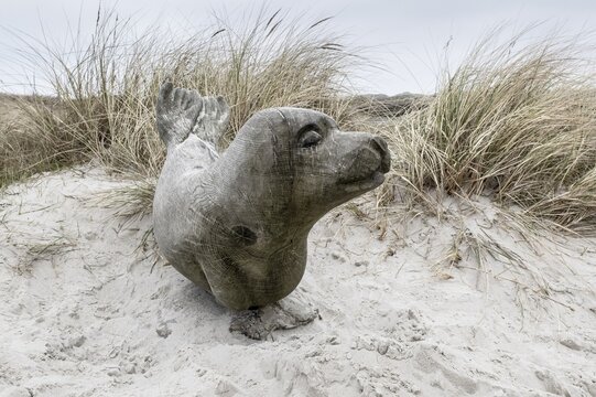 Wooden sculpture of a seal in the dunes, Amrum, Schleswig-Holstein, Germany