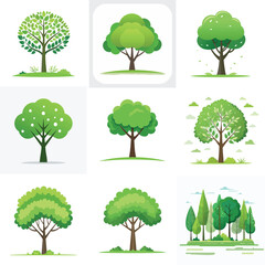 A collection of green trees with various leaves, perfect for forest and park landscape design and illustration