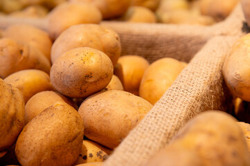 Selected potatoes in a basket at the market. Close-up of large fresh potatoes, the new harvest on the counter
