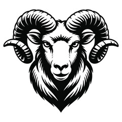 head of a ram