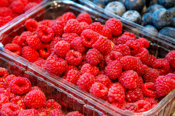 A tray of delicious red raspberries under the rays of the evening sun