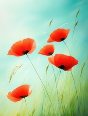 Obraz premium Red Poppy Flowers in Green Meadow