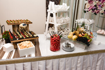Elegant buffet table with appetizers, desserts, and fruit displays. Perfect for a wedding or special event.