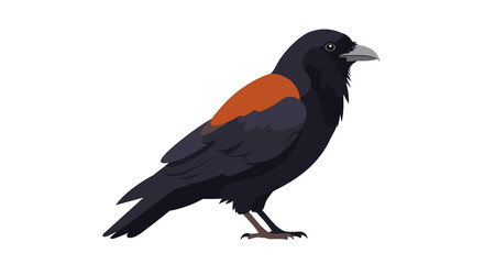 Obraz premium Flat vector raven illustration on white background for Halloween 
