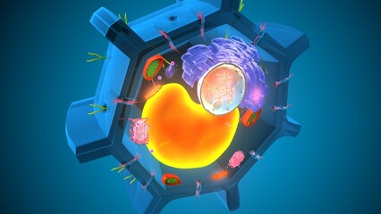 Plant cell structure. 3d illustrations