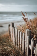Weathered wooden fence partially obscured by beach grass, overlooking a calm, grey ocean under a cloudy sky