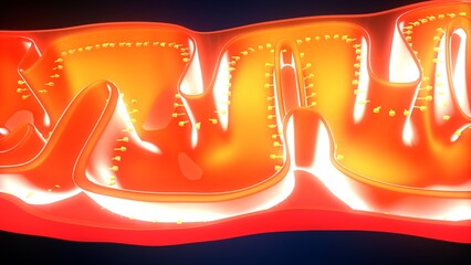  Mitochondria anatomy. 3d illustratins