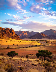 Naklejka premium A beautiful view of the Tibesti Mountains, showing a few scattered acacia trees.
