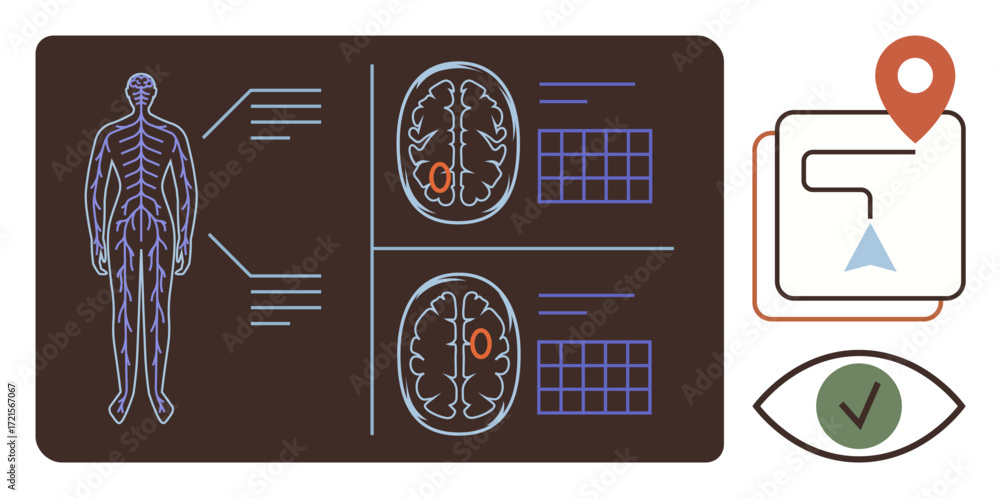 Poster human nervous system and brain scans highlighted with data, navigation icon, map pin, eye, and check