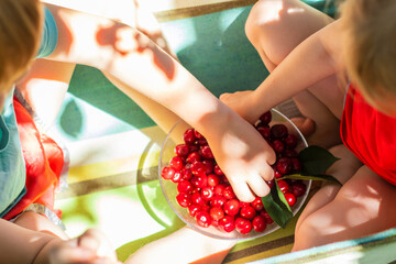 top view of two children eating fresh cherries from a plate sitting in the hammock 