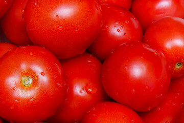 Fresh and juicy red tomatoes ready for cooking or salads at a farm stand