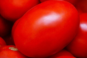 Fresh, ripe red tomatoes gathered together showcasing vibrant colors and textures