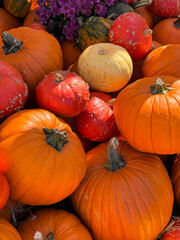 Many different pumpkins on the hay close up. Farm market decoration, autumn harvest festival, cozy fall mood