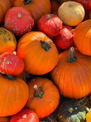 Many different pumpkins on the hay close up. Farm market decoration, autumn harvest festival, cozy fall mood