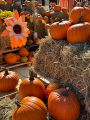 Farm market festival decorations with pumpkins and autumn flowers