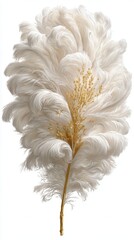 Abstract image of a stylized feather with white plumes and gold accents against a white background.