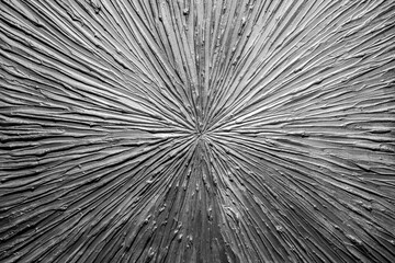 Abstract Radial Texture in Black and White – Monochrome Geometric Pattern with Radiating Lines and Organic Rough Surface for Modern Art and Design