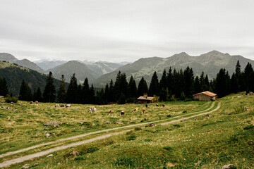 ?sterreich 2025 © Stefanie
