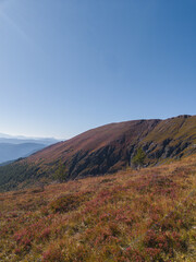 Alpine Ridge with Fall Colors under Clear Blue Sky and peaceful Autumn Panorama