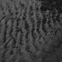 High angle, close up view of a dark gray sand and mud surface. The texture is rough with visible lines and patterns created by water or wind erosion.