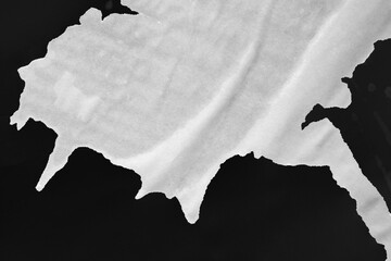 Wet paper. A wet stain on white paper. Water stain on paper