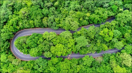 aerial. Aerial view of a serene forest road winding through lush greenery under natural daylight. travel magazines, destination branding, designed for travel destination branding.