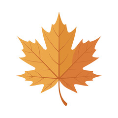 Detailed illustration of a single autumn leaf with intricate veins