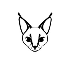 Fototapeta premium Caracal. Caracal simple black and white line art vector logo
