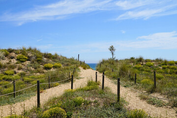 beautiful sandy path through the dunes from Mas Pinell to the beach Platja de la Fonollera at the Mediterranean Sea, Illes Medes at the horizon, l’Estartit, Pals,, Catalonia, Costa Brava, Spain