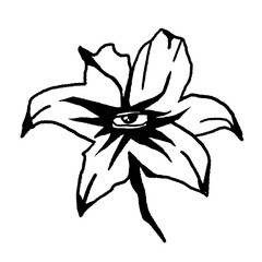 Surreal Eye Flower Hybrid — Mystical Nature and Fantasy Vector Illustration. Editable Monochrome Design.