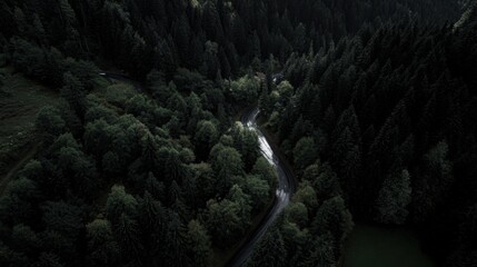 aerial. Aerial view of a serene forest road winding through lush greenery under natural daylight. travel magazines, destination branding, designed for travel destination branding.