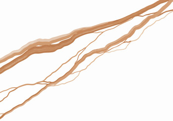 Abstract veins create a textured, organic pattern against a white background.  A sophisticated, natural art style. Suitable for design and backgrounds.