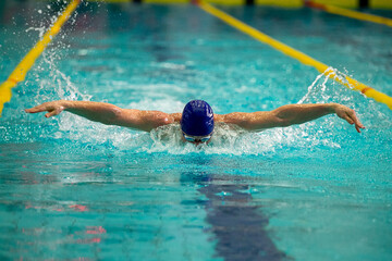 Athlete swimmer swimming in butterfly style pool