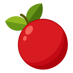 cranberry fruit on white background