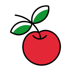 cranberry fruit on white background