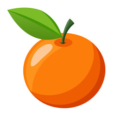 cumquat fruit on white background