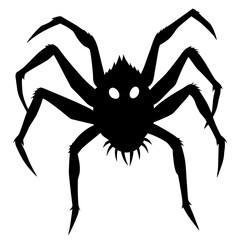 spider isolated on white