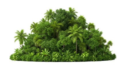 Lush tropical jungle foliage with palm trees and diverse greenery