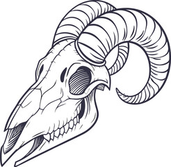 Detailed ram skull with horns vector illustration,  animal bone drawing, vintage occult tattoo style graphic design, isolated dark art skeleton head outline.