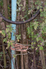 Vertical blue pole tied with ropes and surrounded by wooden fence sticks.