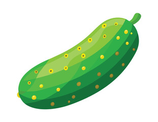 Fresh green cucumber illustration vector design healthy food ingredient vegetable art diet
