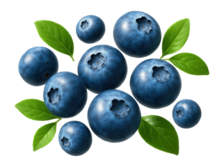 Fresh blueberries with leaves on a white background.
