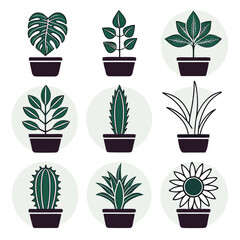 Assortment of potted houseplants in stylized circles