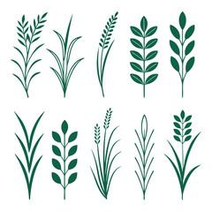 Collection of Green Botanical Elements on Black Background