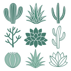 Collection of Nine Teal Cactus and Succulent Illustrations