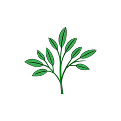 Green Plant Stem with Leaves on Black Background Keywords: plant, green, leaves, stem, branch