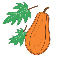 Orange Gourd with Green Leaves on Black Background Keywords: gourd, orange, vegetable, food